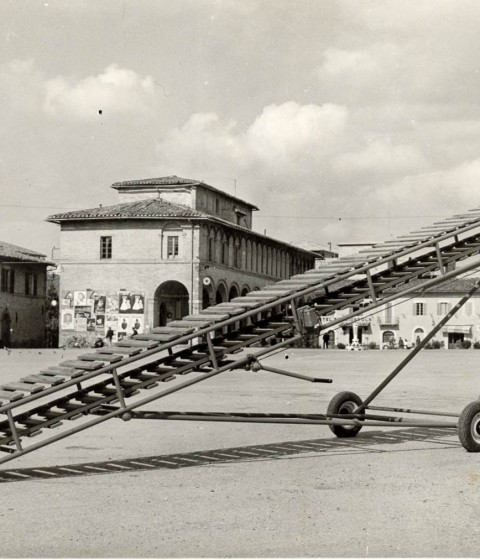 Foto Storica Fragola