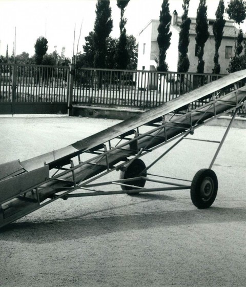 Foto Storica Fragola