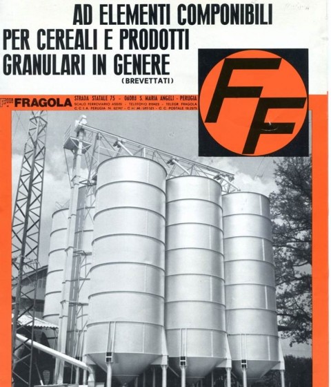 Foto Storica Fragola